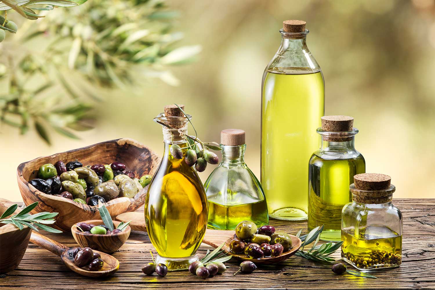 making your own olive oil